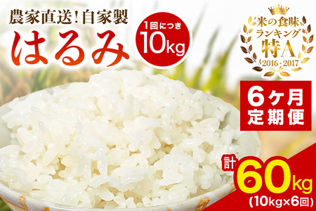 [定期便／6ヶ月連続 ][令和7年産] 伊勢原産 精米10kg(5kg×2袋) はるみ 農家直送！加藤さんちのうんめぇ！自家製米｜ お米 おこめ コメ 白米 神奈川 伊勢原 ブランド米 [0742]