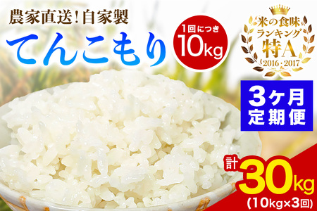 [定期便／3ヶ月連続 ][令和7年産] 伊勢原産 精米10kg(5kg×2袋) てんこもり 農家直送！加藤さんちのうんめぇ！自家製米 [0746]
