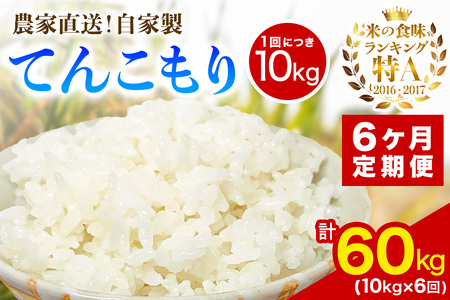 [定期便／6ヶ月連続 ][令和7年産] 伊勢原産 精米10kg(5kg×2袋) てんこもり 農家直送！加藤さんちのうんめぇ！自家製米 [0747]