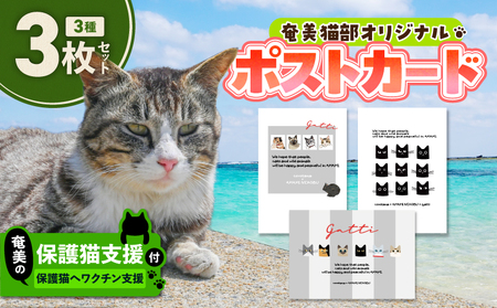 【 奄美 の 保護猫支援 （ ワクチン 代 ）】 ＋ ポストカード 3枚 セット A071-007 お手紙 猫デザイン 3種 オリジナルポストカード 保護猫プロジェクト cafeCOVOTANA ふるさと納税 鹿児島 奄美市 おすすめ ランキング プレゼント ギフト