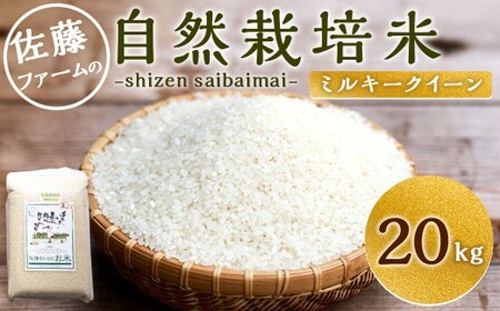  【令和7年産】 さとうファームの 自然栽培米 白米 20kg(5kg×4袋) ミルキークイーン お米 米 精米