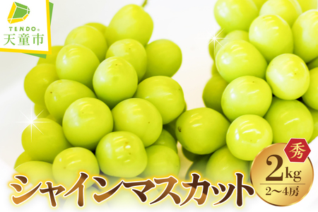 ぶどう ( シャインマスカット ) 2kg フルーツ 果物 山形 08-04-003