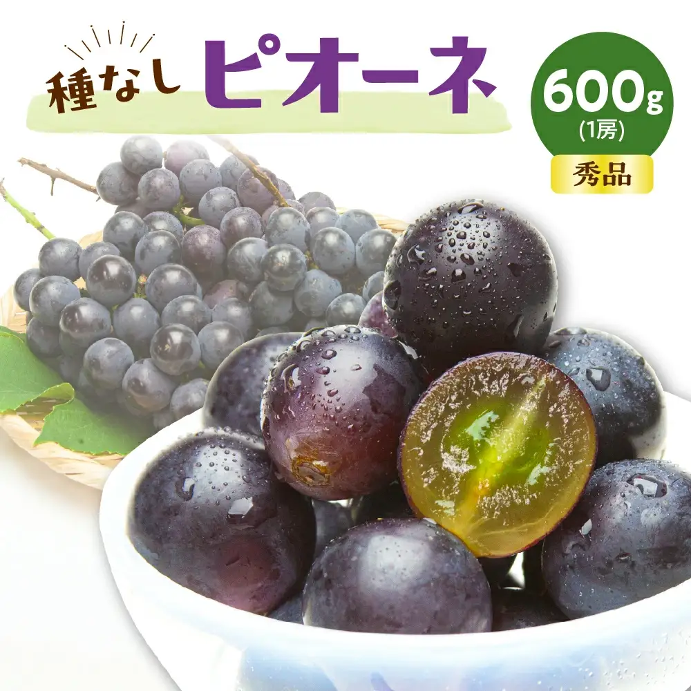 ぶどう ( 種なし ピオーネ ) 600g フルーツ 果物 山形 08-06-004