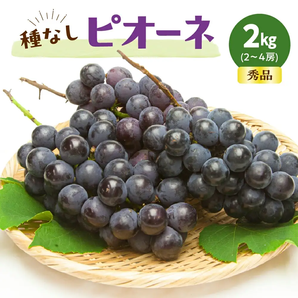 ぶどう ( 種なし ピオーネ ) 約 2kg フルーツ 果物 山形