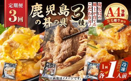 【 全3回 定期便 】鹿児島 の 丼 の 具 3種セット（1人前） K258-T05_01a 肉 豚肉 牛肉 惣菜 総菜 冷凍