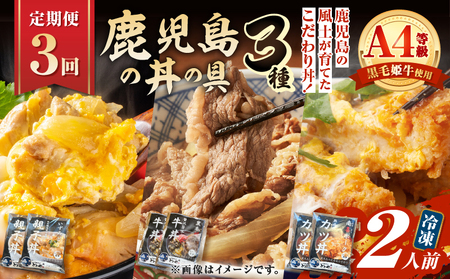 【 全3回 定期便 】鹿児島 の 丼 の具 3種セット（2人前） K258-T05_02a 肉 豚肉 牛肉 惣菜 総菜 冷凍