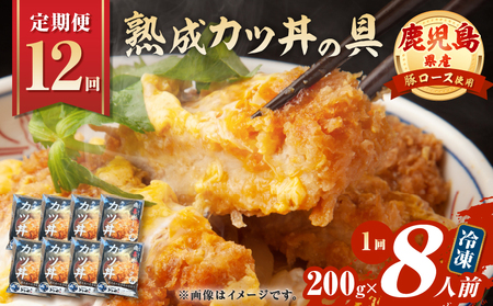 【 全12回 定期便 】鹿児島県産 熟成 カツ丼 の 具（8食分） K258-T06_08b 肉 豚肉 惣菜 総菜 冷凍