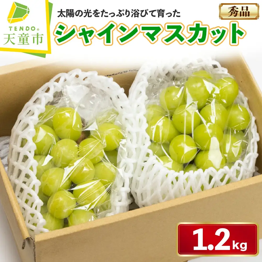 ぶどう ( シャインマスカット ) 約 1.2kg フルーツ 果物 山形