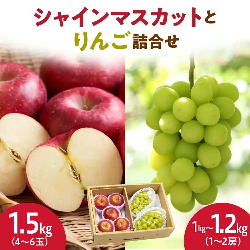 シャインマスカット と りんご 詰合せ 約 2.5kg フルーツ 果物 山形 