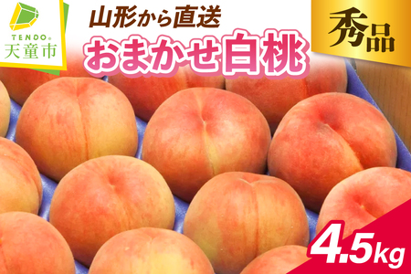 もも ( おまかせ 白桃 ) 4.5kg フルーツ 果物 山形 08-06-011