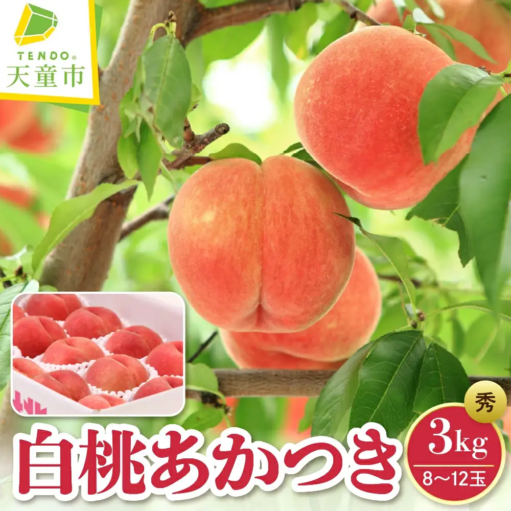 もも ( あかつき ) 3kg フルーツ 果物 山形
