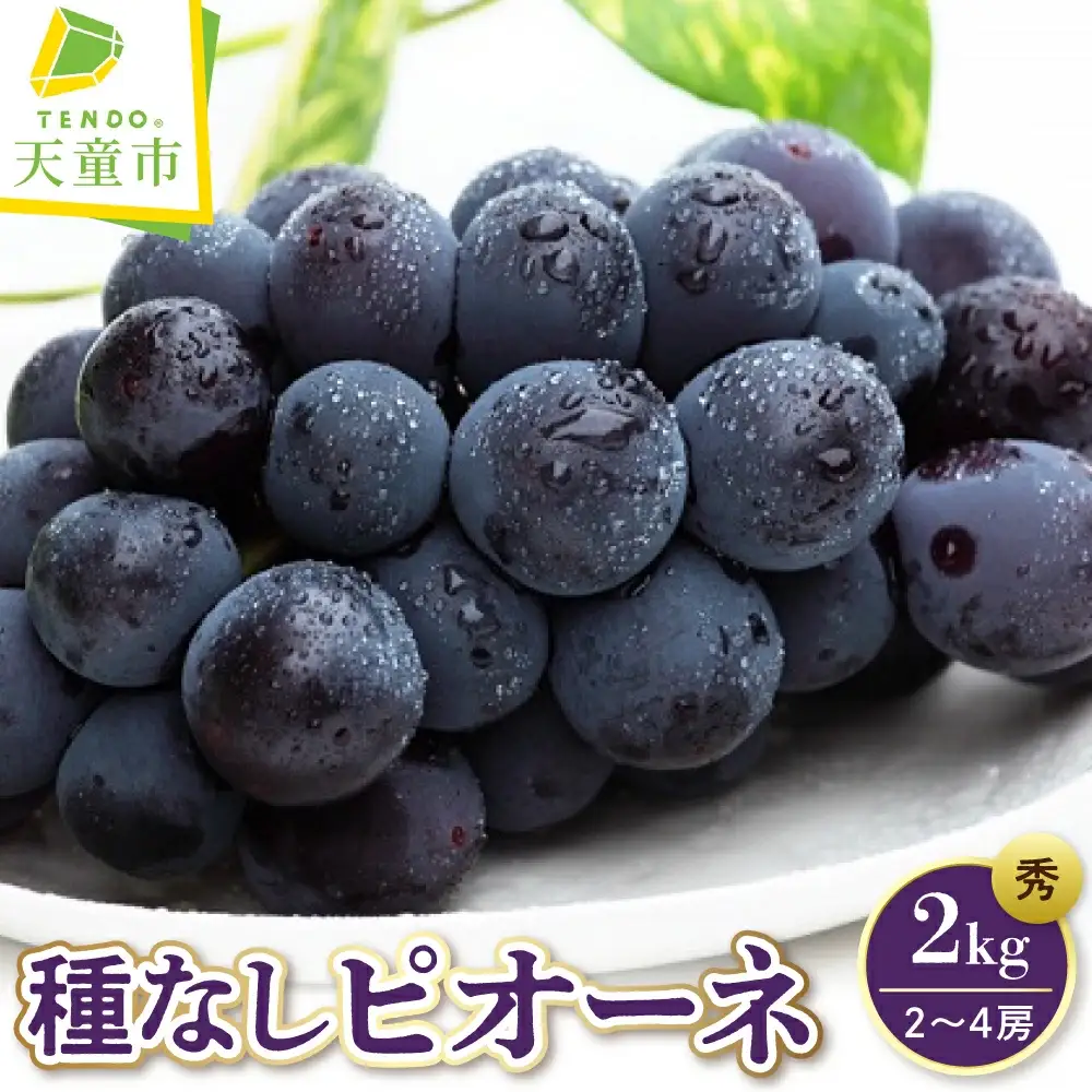 ぶどう 種なし ピオーネ 2kg フルーツ 果物 山形 ブドウ