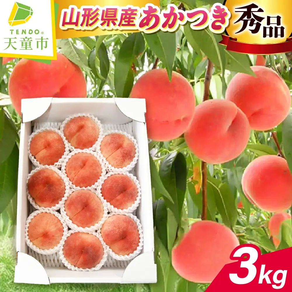 もも あかつき 3kg フルーツ 果物 山形 モモ