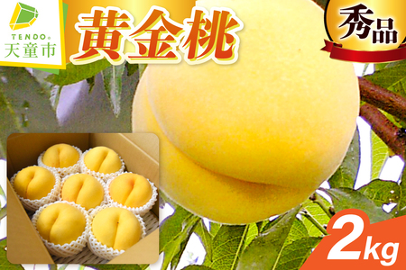 もも ( 黄金桃 ) 2kg フルーツ 果物 山形 08-10-006