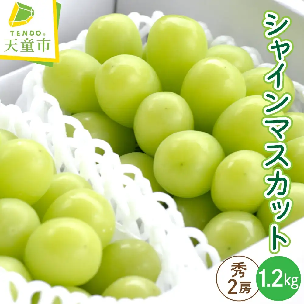 ぶどう ( シャインマスカット ) 2房 1.2kg フルーツ 果物 山形