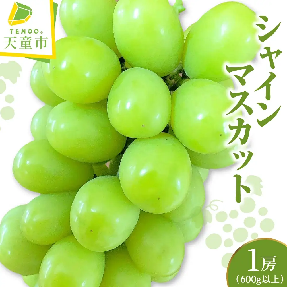 ぶどう シャインマスカット 1房 600g 以上 フルーツ 果物 山形