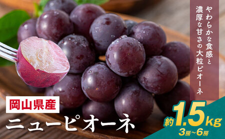 【先行予約】 岡山県産 ニューピオーネ詰合せ 計 1.5kg 株式会社はちや《8月下旬‐9月下旬頃出荷》送料無料【配送不可地域あり】