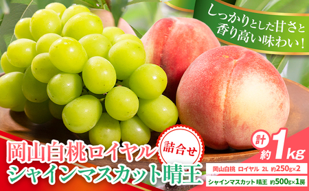 岡山白桃 シャインマスカット 計1kg 詰合せ 株式会社はちや【配送不可地域あり】