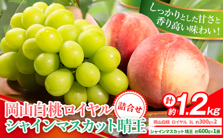 岡山白桃 シャインマスカット 計1.2kg 詰合せ 株式会社はちや【配送不可地域あり】