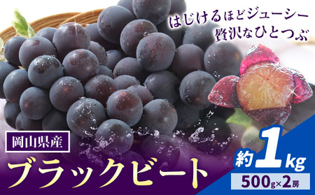 【先行予約】岡山県産 ぶどう ブラックビート 計 1kg 2房 株式会社 はちや《8月上旬-9月上旬頃出荷》【配送不可地域あり】