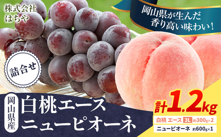 岡山白桃 ニューピオーネ 計1.2kg 詰合せ 株式会社はちや【配送不可地域あり】