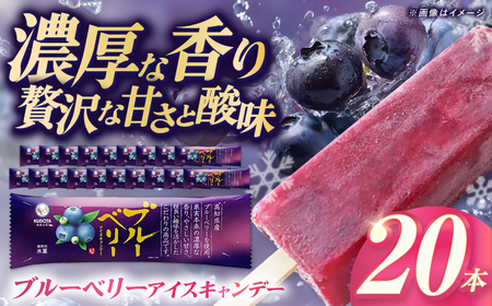 久保田食品 ブルーベリーアイスキャンデー 20本入 添加物不使用 / アイス アイスキャンデー アイスクリーム 冷凍 ブルーベリー ベリー 果物 フルーツ セット デザート スイーツ 【グレイジア株式会社】[ATAC599]