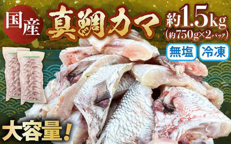 国産 真鯛カマ 約1.5kg (約750g×2パック) 大容量 無塩 冷凍【 鯛めし】[m78-a007]