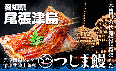 【純国産ウナギ】つしま鰻蒲焼3尾入(450g)