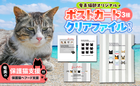 【 奄美 の 保護猫支援 （ 保護猫 フード 10日分 ）】 ＋ ポストカード ＆ クリアファイル セット A071-008 お手紙 猫デザイン 3種 オリジナルポストカード  A4サイズクリアファイル 保護猫プロジェクト cafeCOVOTANA ふるさと納税 鹿児島 奄美市 おすすめ ランキング プレゼント ギフト