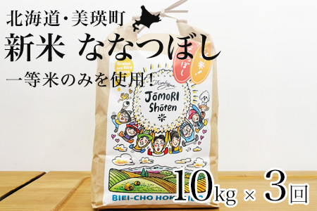 【定期便 10kg 3ヶ月 】【令和7年産】白米 ななつぼし 一等米 精米 ブランド米  定期便 [108-07]