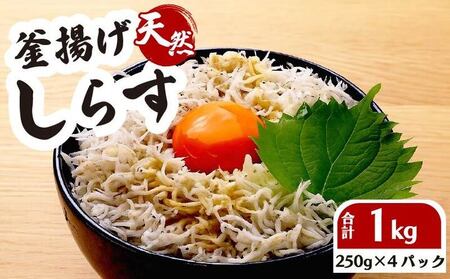 釜揚げしらす 250g 4パック 計 1kg 国産 しらす 【坂口産業】