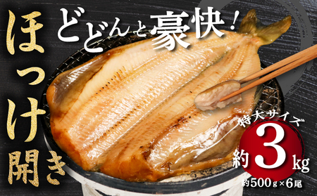 豪快 ホッケ 開き 約3kg （約500g × 6尾） ホッケ