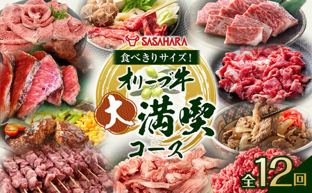 【全12回】食べきりサイズ！オリーブ牛の大満喫コース