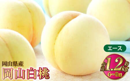 岡山白桃 エース 4～8玉 約1.2kg 岡山県産【2026年7月上旬～8月下旬発送予定】 白桃 桃 もも モモ