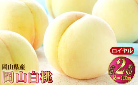 岡山白桃 ロイヤル 5～10玉 約2kg 岡山県産【2026年7月上旬～8月下旬発送予定】 白桃 桃 もも モモ