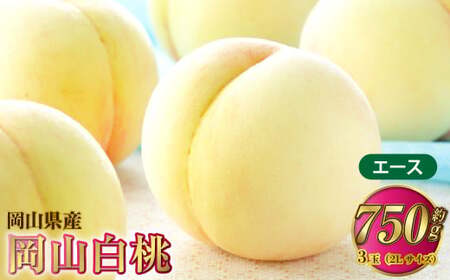 岡山白桃 エース 3玉×約250g（2Lサイズ） 計約750g 岡山県産【2026年7月上旬～8月下旬発送予定】 白桃 桃 もも モモ