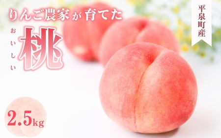 【2026年8月順次発送】平泉町産桃 約2.5kg (7～10玉) おどろき【dma501-od】