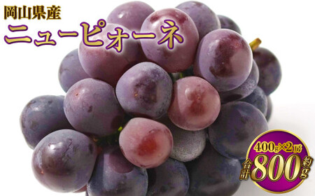 岡山県産 ニューピオーネ 約800g（約400g×2房） 【2026年6月下旬～7月下旬発送予定】 ピオーネ ぶどう 葡萄 ブドウ 種なし