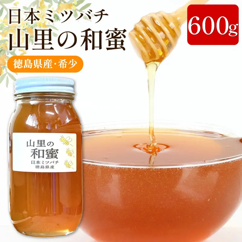 日本みつばち 蜂蜜600g はちみつ 山里の和蜜 【 はちみつ 】