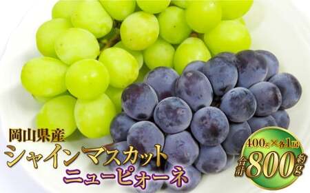 岡山県産 シャインマスカット 晴王・ニューピオーネ Lサイズ 計約800g 詰合せ 【2026年6月下旬～7月下旬発送予定】 各1房 マスカット ピオーネ ぶどう 葡萄 ブドウ 種なし セット