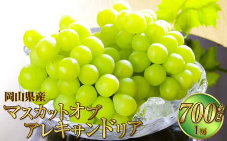 岡山県産 マスカット・オブ・アレキサンドリア 約700g（1房） 果物 フルーツ くだもの ぶどう ブドウ 葡萄 マスカット 冷蔵 国産 奈義町 【2026年6月下旬～7月下旬発送予定】