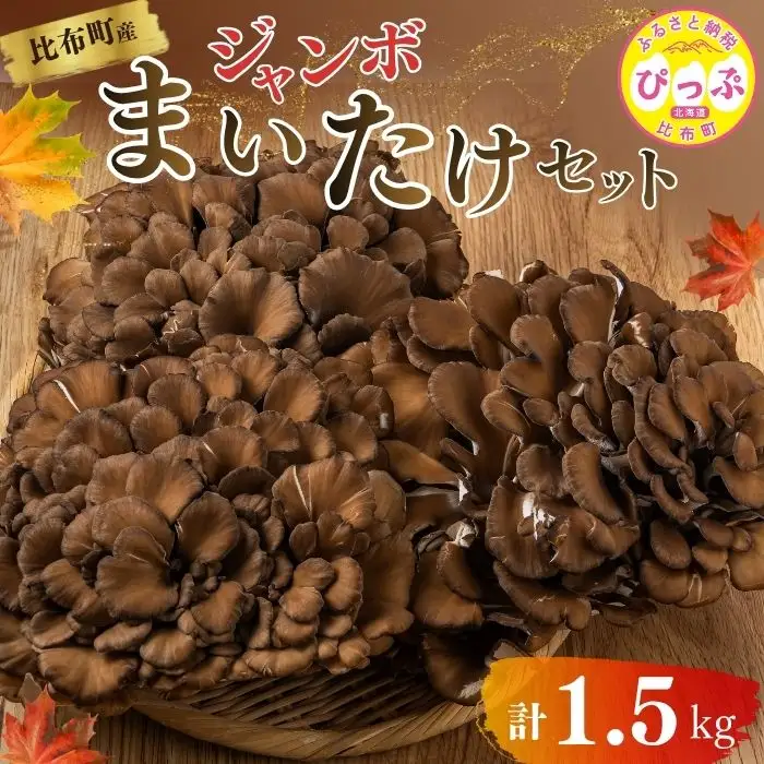 ジャンボまいたけ 1.5kg（500g×3）セット【北海道きのこ品評会 最優秀賞受賞】【遠藤農産】きのこ キノコ セット 詰め合わせ 舞茸 国産 北海道産 北海道 比布町 ぴっぷ 1002-003