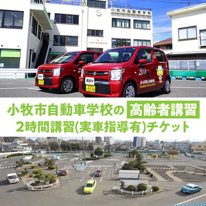小牧市自動車学校の高齢者講習2時間講習(実車指導有)チケット ［186A01］ 小牧市自動車学校 高齢者 講習 2時間講習 実車指導有 チケット 1枚 認定高齢者講習 座学 適性検査 コース走行 高齢者ドライバー 免許更新 交通安全 安全運転 自動車学校 高齢者講習認定教育 愛知県 小牧市 送料無料