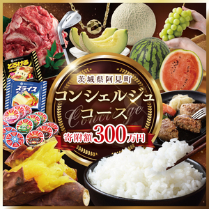 【提案型】コンシェルジュコース(300万円)（000-14）