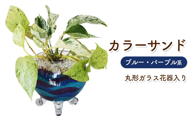 カラーサンド ガラス花器:丸 ブルー パープル系 インテリア 植物 