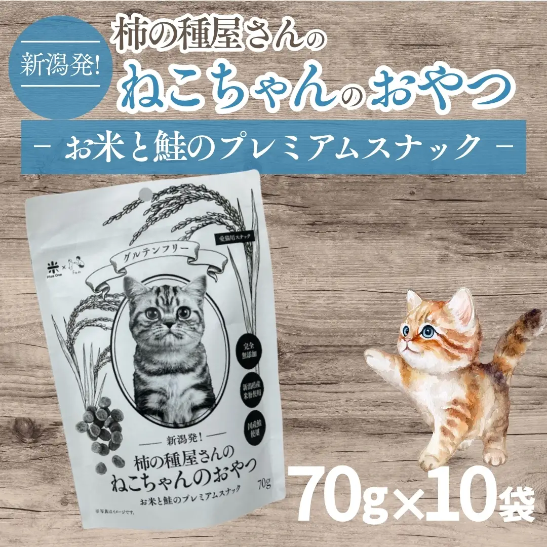 柿の種屋さんのねこちゃんのおやつ　お米と鮭のプレミアムスナック10個セット 阿部幸製菓【0002-0387-01】