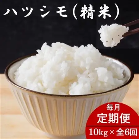 【毎月定期便】岐阜県産ハツシモ(精米) 10kg全6回【配送不可地域：離島】【4076387】