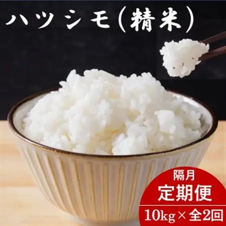 【2ヵ月毎定期便】岐阜県産ハツシモ(精米) 10kg全2回【配送不可地域：離島】【4076393】