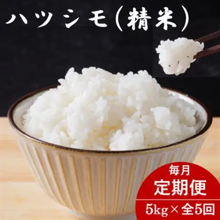 【毎月定期便】岐阜県産ハツシモ(精米) 5kg全5回【配送不可地域：離島】【4076406】