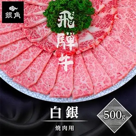 【飛騨牛】白銀焼肉用500g【配送不可地域：離島】【1686744】